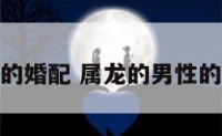属龙的男性的婚配 属龙的男性的婚配好不好