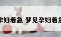 梦见孕妇着急 梦见孕妇着急流产