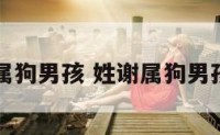 姓谢属狗男孩 姓谢属狗男孩起名