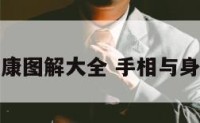 手相健康图解大全 手相与身体健康