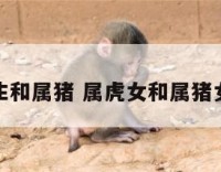 属虎女生和属猪 属虎女和属猪女合财吗