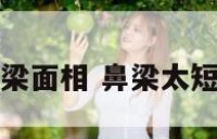 短鼻梁面相 鼻梁太短命相