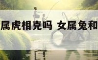 女属兔和女属虎相克吗 女属兔和女属虎相克吗好吗