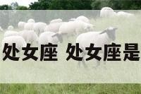 哪个血型处女座 处女座是什么血脉