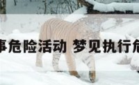 梦见从事危险活动 梦见执行危险任务