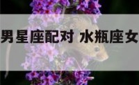 水瓶女狮子男星座配对 水瓶座女狮子座男合不合