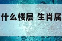 属兔的人适合什么楼层 生肖属兔的适合什么楼层