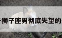 关于狮子座男彻底失望的信息