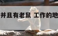工作环境差并且有老鼠 工作的地方有老鼠怎么办