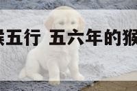 2016年属猴五行 五六年的猴五行属于什么命