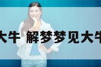 解梦梦见大牛 解梦梦见大牛什么预兆