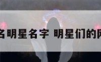 网名明星名字 明星们的网名