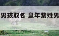 姓黎的属鼠男孩取名 鼠年黎姓男孩独特的名字