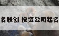 投资公司起名联创 投资公司起名联创怎么样