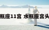水瓶座11宫 水瓶座宫头星