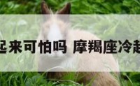 摩羯座冷起来可怕吗 摩羯座冷起来有多冷