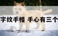 三个田字纹手相 手心有三个田字纹