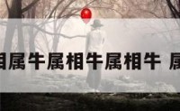 牛的属相属牛属相牛属相牛 属牛 属相