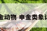 申金动物 申金类象详解