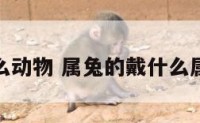 属兔戴什么动物 属兔的戴什么属相运气好