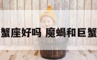 魔蝎座配巨蟹座好吗 魔蝎和巨蟹座性格合吗