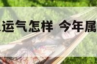 今年属猪的人运气怎样 今年属猪人的运气如何