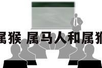 属马人和属猴 属马人和属猴人合不合