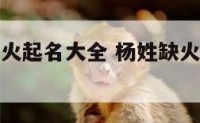 杨姓五行缺火起名大全 杨姓缺火的女孩名字大全集