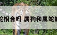 属狗与蛇相合吗 属狗和属蛇的人合吗