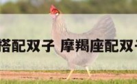 摩羯座搭配双子 摩羯座配双子座吗?