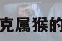 关于克属猴的信息