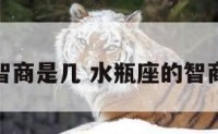 水瓶座智商是几 水瓶座的智商是什么