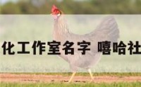 嘻哈文化工作室名字 嘻哈社团名字