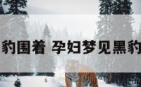 孕妇梦到黑豹围着 孕妇梦见黑豹子是胎梦吗