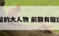 前额长璇的大人物 前额有璇适合发型