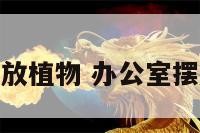 办公室公款摆放植物 办公室摆放植物的好处
