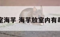 卧室海芋 海芋放室内有毒吗