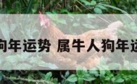 属牛人狗年运势 属牛人狗年运势如何
