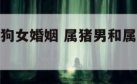 属猪男与属狗女婚姻 属猪男和属狗女相配婚姻如何