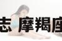 摩羯座幸运标志 摩羯座幸运标志图片