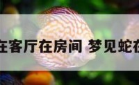 梦见蛇在客厅在房间 梦见蛇在客厅里