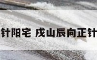 戌山辰向正针阳宅 戌山辰向正针阳宅好不好