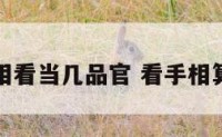 算命手相看当几品官 看手相算命术语
