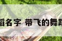 带飞的舞蹈名字 带飞的舞蹈名字大全