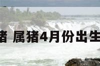 阳历4月属猪 属猪4月份出生的命运如何