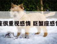 巨蟹座很重视感情 巨蟹座感情丰富