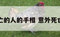 意外死亡的人的手相 意外死亡的面相