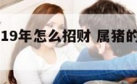 属猪人2019年怎么招财 属猪的人怎么招财