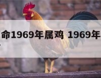 免费算命1969年属鸡 1969年的鸡运势如何