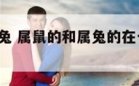1属鼠和属兔 属鼠的和属兔的在一起会怎么样